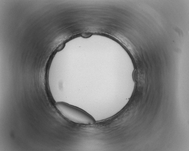 X0000116550485201001071119