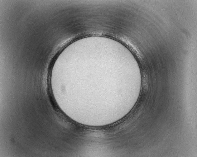 X0000116550486201001071119