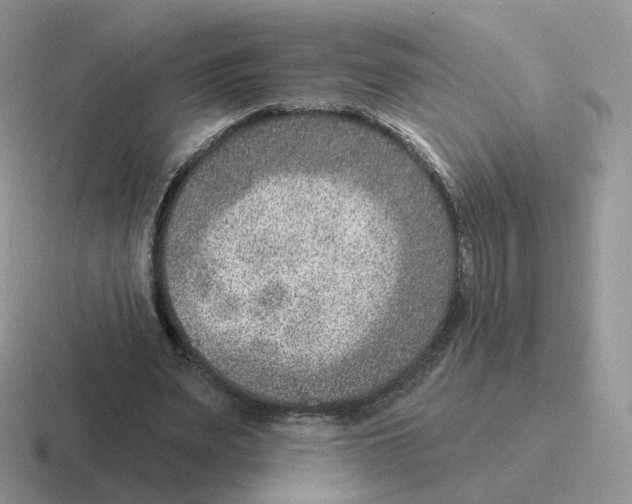 X0000116550487201001071119