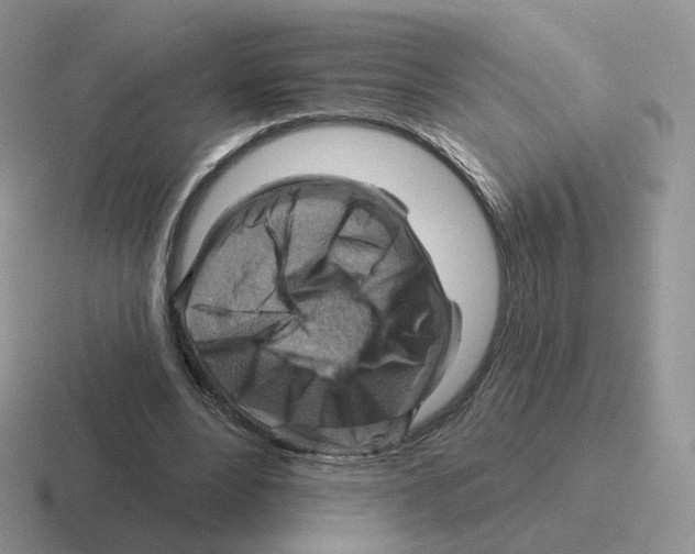 X0000116550488201001071119