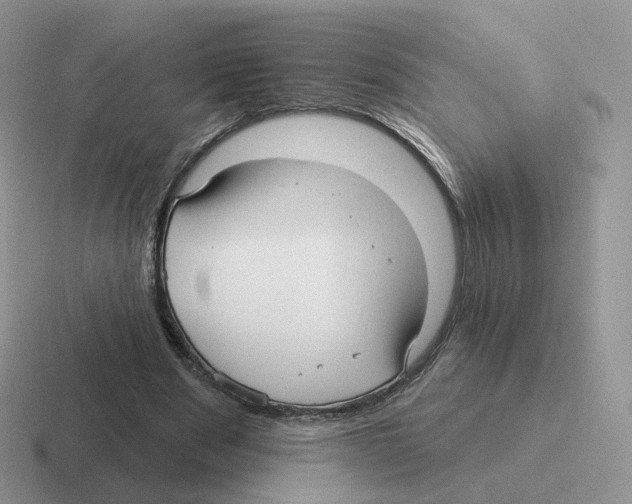 X0000116550489201001071119