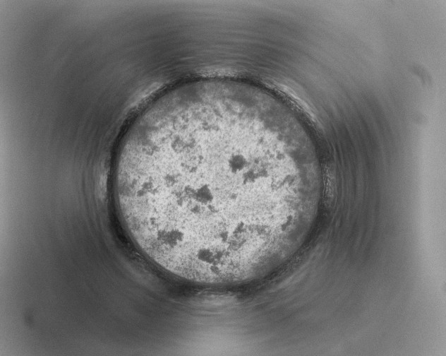 X0000116550491201001071119