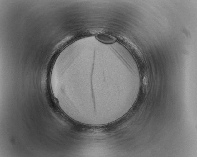 X0000116550492201001071119