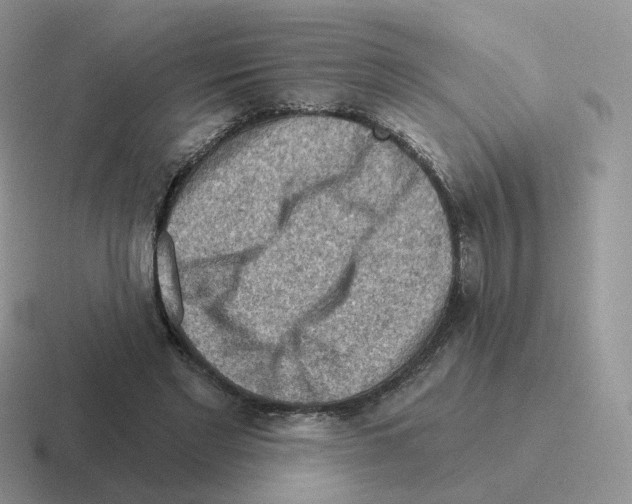 X0000116550493201001071118