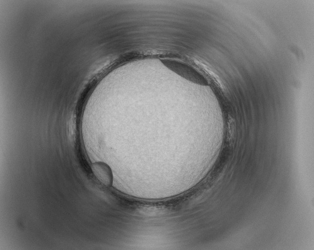 X0000116550494201001071118