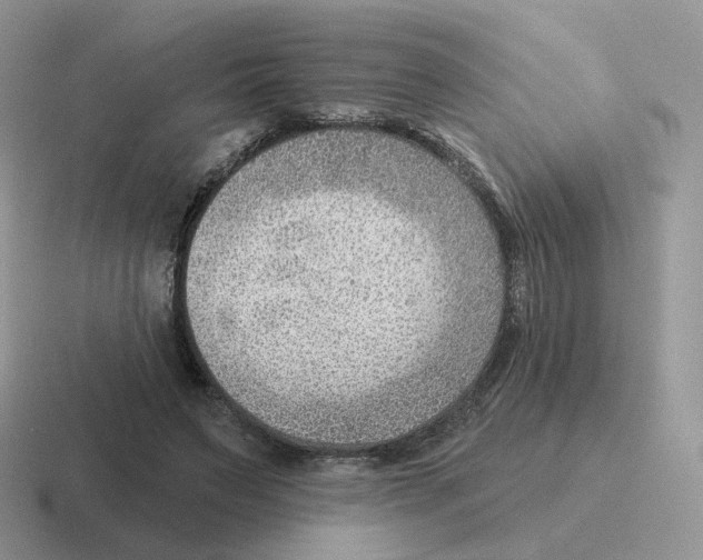 X0000116550495201001071118