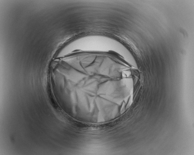 X0000116550496201001071118