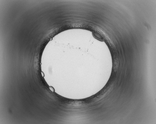 X0000116550497201001071118