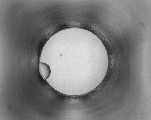 X0000116550498201001071118