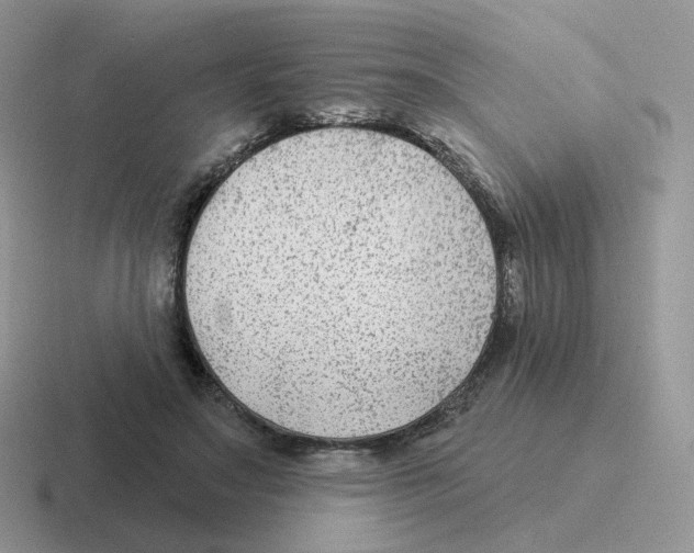 X0000116550499201001071118