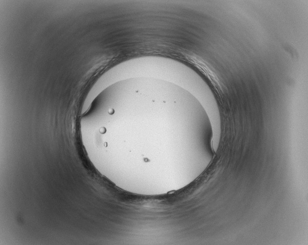 X0000116550501201001071118