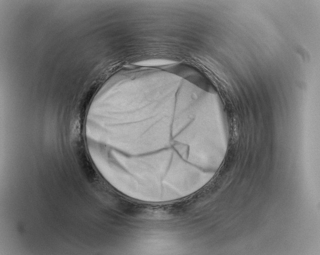 X0000116550502201001071118