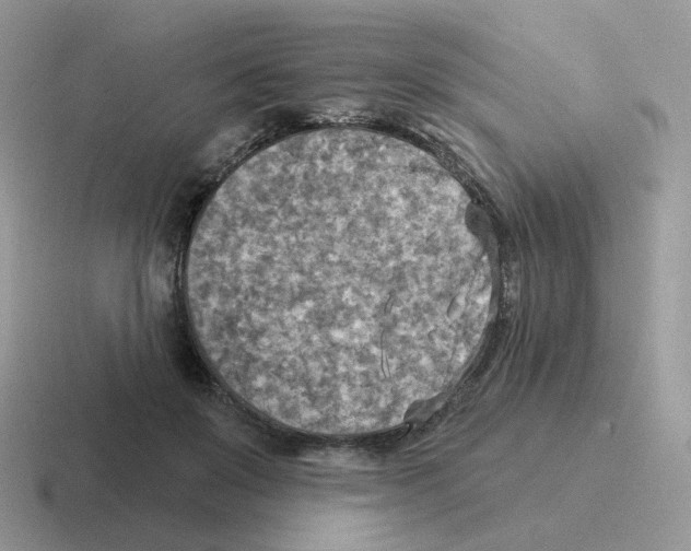 X0000116550503201001071118