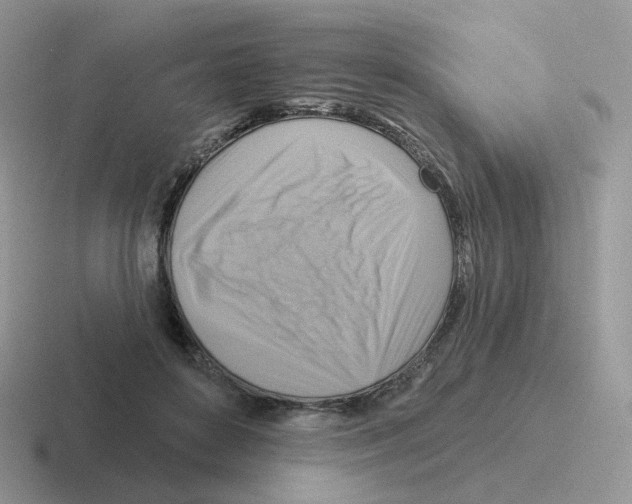 X0000116550504201001071118