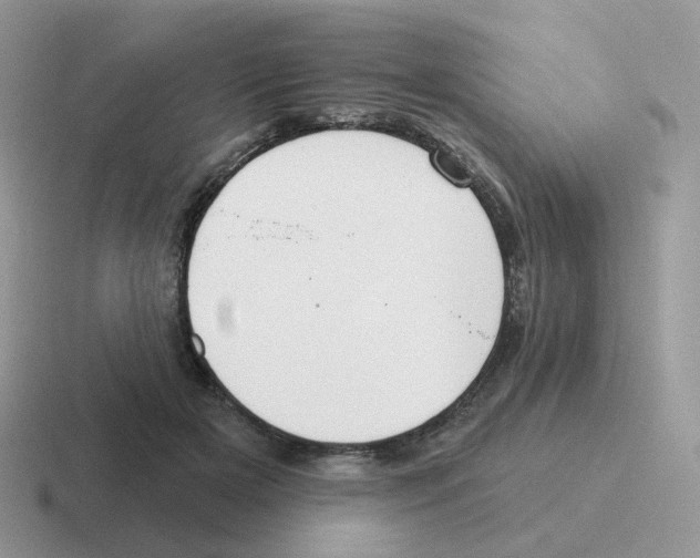 X0000116550505201001071118