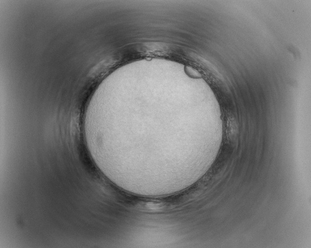 X0000116550506201001071118