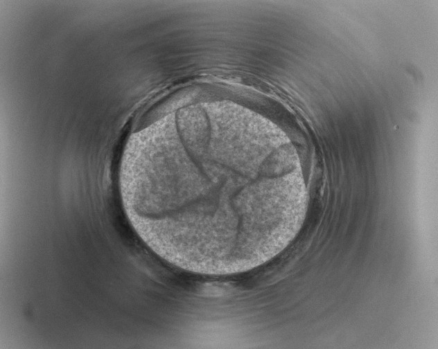 X0000116550508201001071118