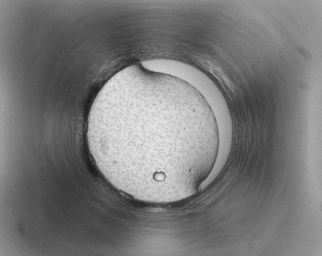 X0000116550509201001071118