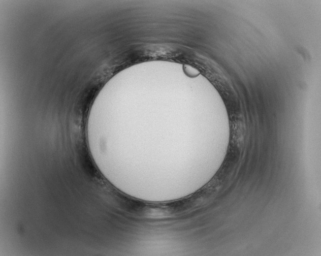 X0000116550510201001071118