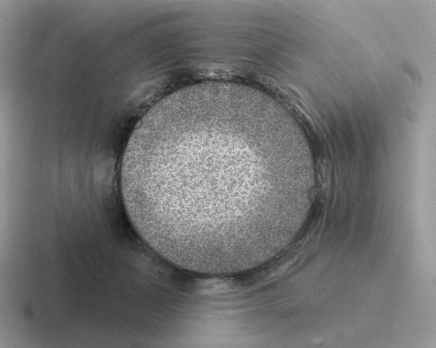 X0000116550511201001071118