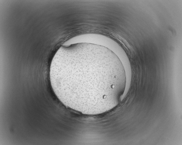 X0000116550513201001071118