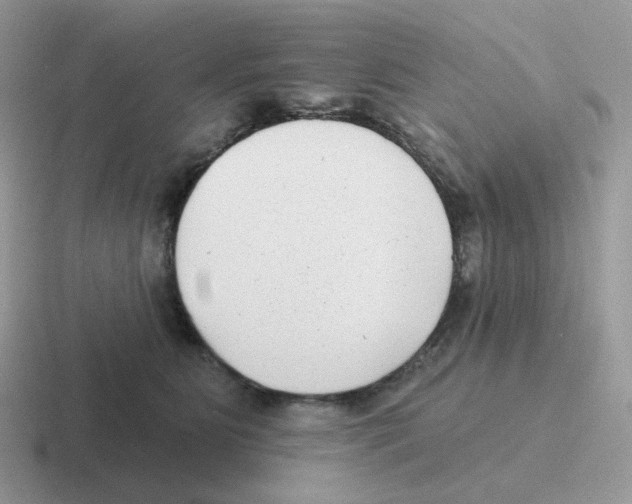 X0000116550515201001071118