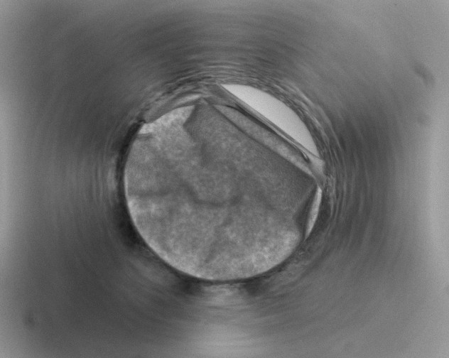 X0000116550516201001071118