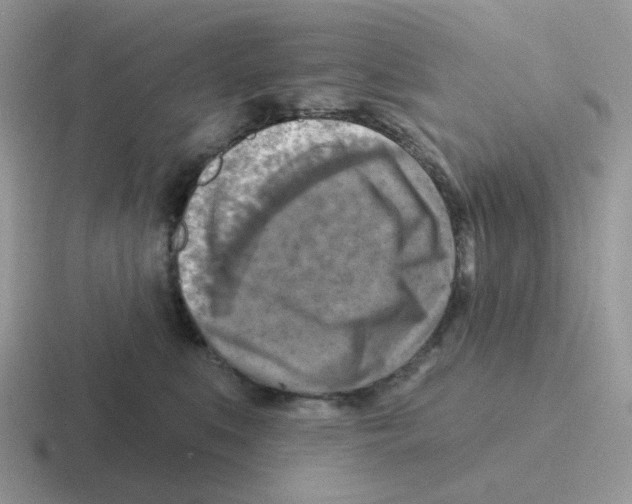 X0000116550519201001071118