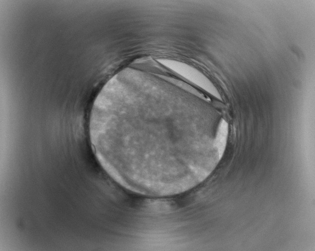 X0000116550520201001071118