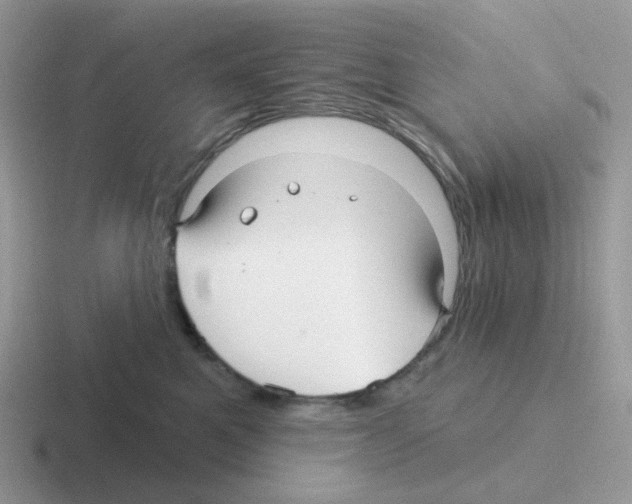 X0000116550521201001071118