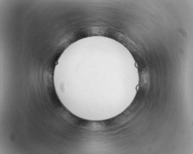 X0000116550522201001071118