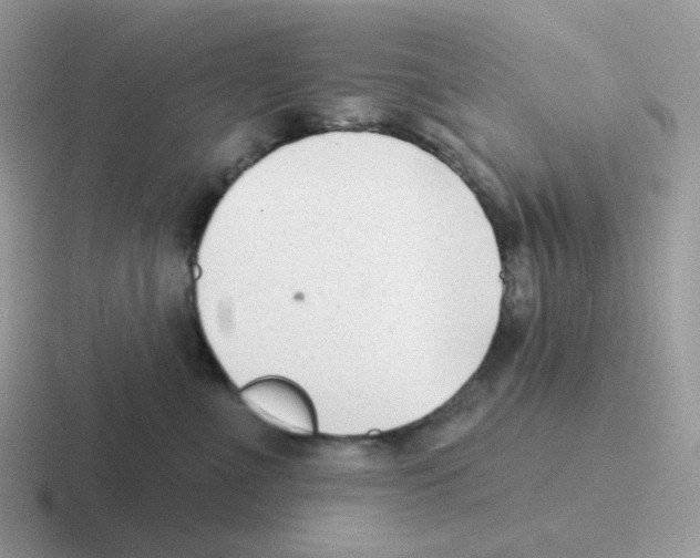 X0000116550523201001071118