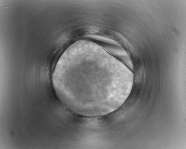 X0000116550524201001071118