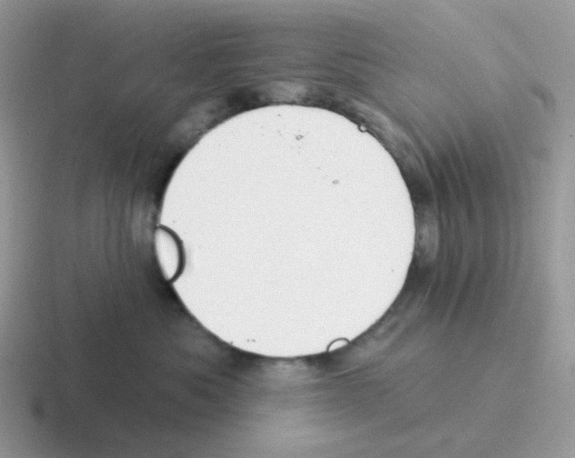 X0000116550525201001071118