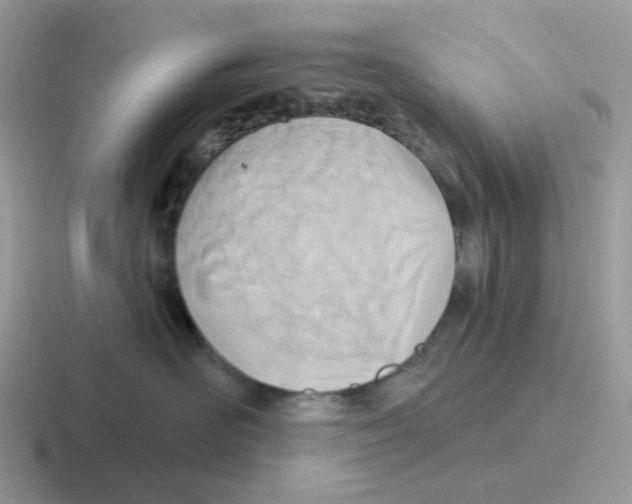 X0000116550526201001071118