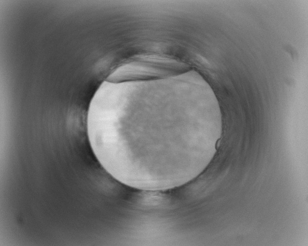 X0000116550528201001071118