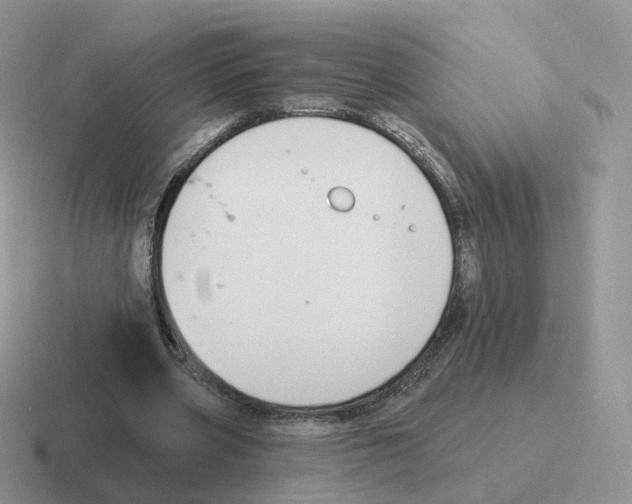 X0000116550533201001071117