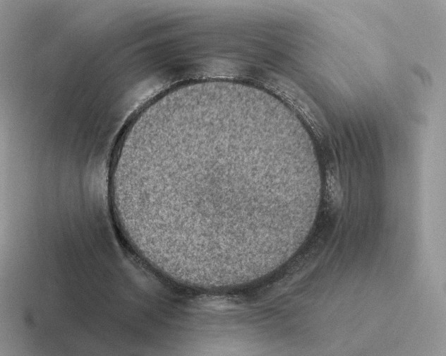 X0000116550534201001071118