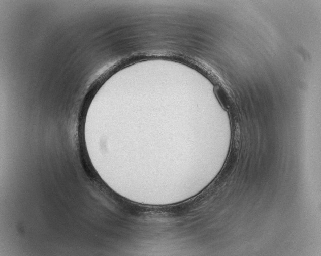 X0000116550535201001071118