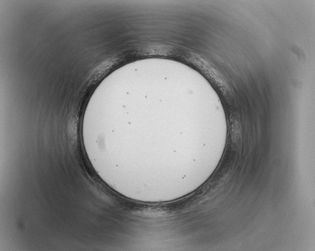 X0000116550537201001071118