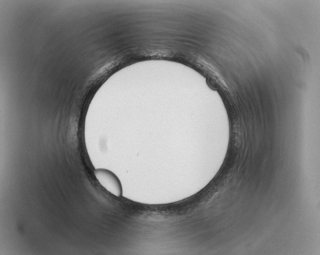 X0000116550538201001071118