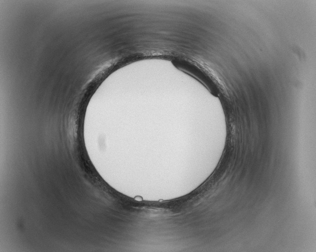 X0000116550539201001071118