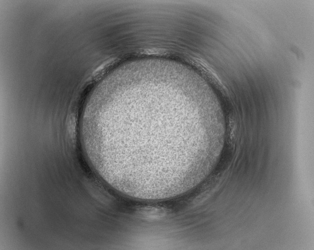 X0000116550542201001071118