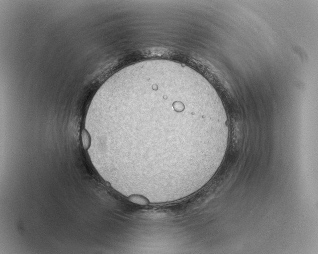 X0000116550545201001071118