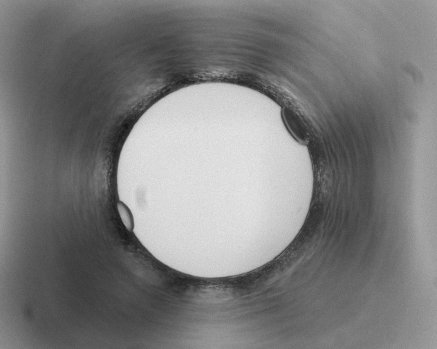 X0000116550546201001071118