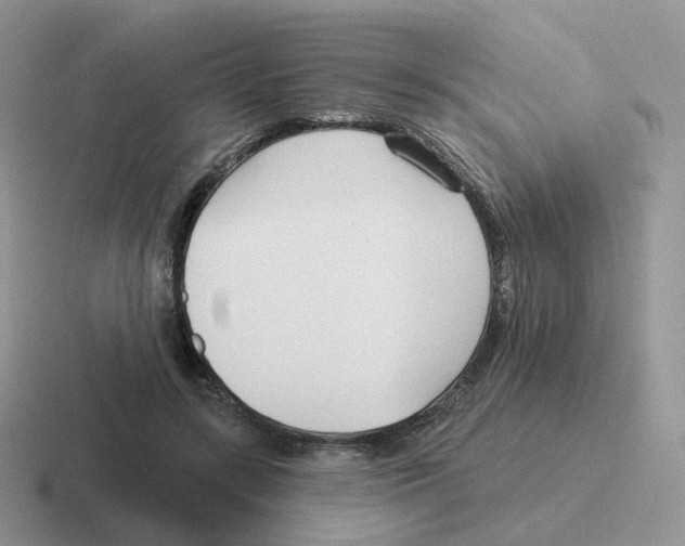 X0000116550547201001071118