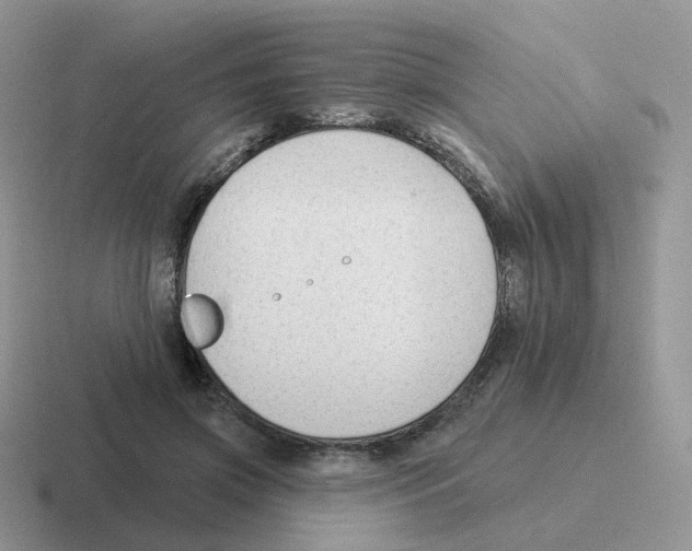 X0000116550549201001071118