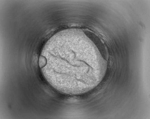 X0000116550550201001071118