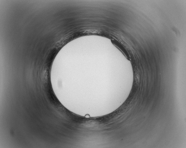 X0000116550551201001071118