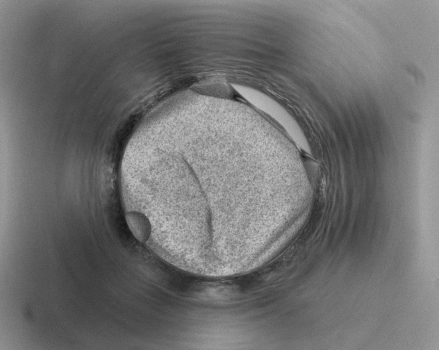 X0000116550555201001071118